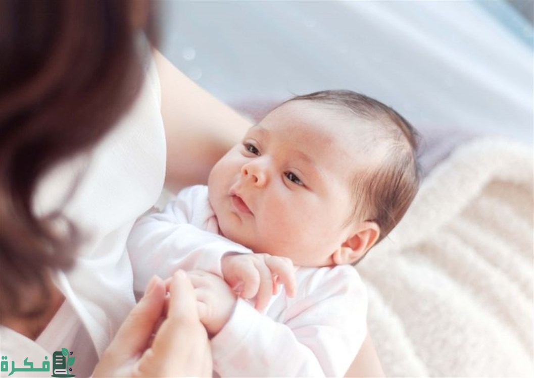 shutterstock 587343260