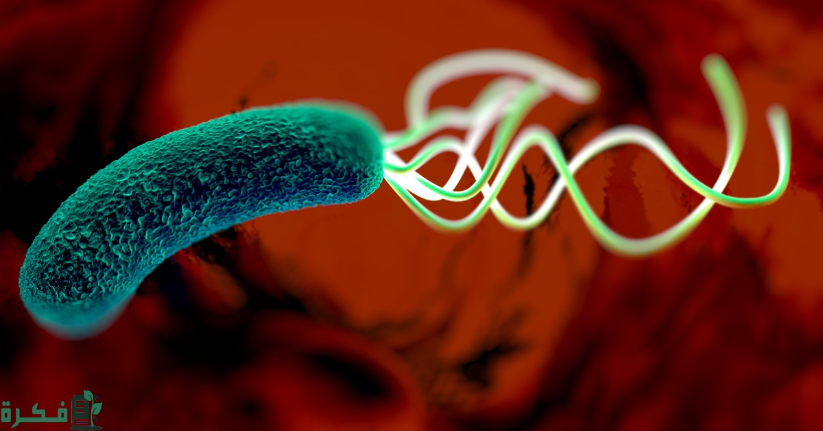 أنواع تحليل جرثومة المعدة