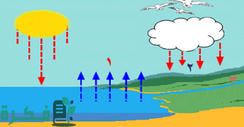 أسئلة ورسومات عن دورة الماء في الطبيعة