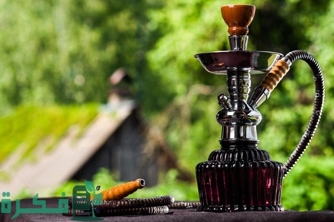 أقرب محل معسلات من موقعي