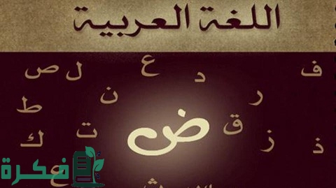 أكثر 10 أخطاء إملائية شائعة