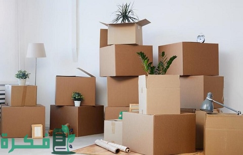 مشروع إعادة تدوير الورق والكرتون في المنزل 4 إعادة تدوير الورق والكرتون في المنزل