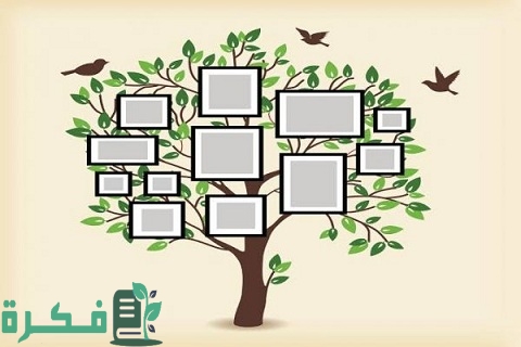 استراتيجية شجرة الذاكرة فارغة