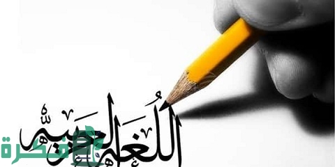 الفرق بين واو المعية وواو الحال بالأمثلة