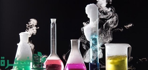 بحث عن نسبة المردود المئوية