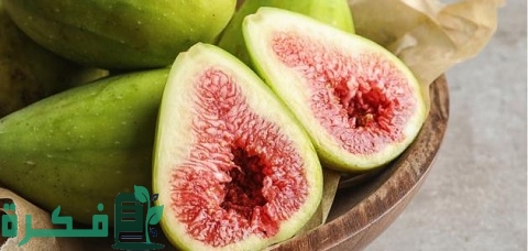 دراسة جدوى زراعة التين البرشومي