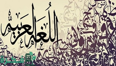 شرح درس الكناية بالأمثلة