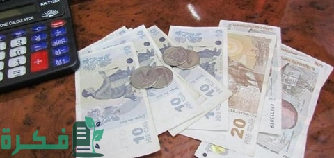 ما هي عملة جورجيا