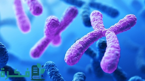ماهي الوراثة المعقدة والوراثة البشرية