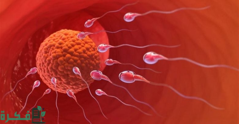 اسباب نزول الدم بعد الجماع