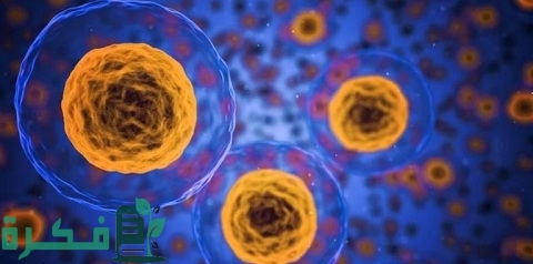 مراحل تطور نظرية الخلية