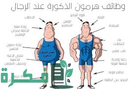 006489A1 DE7D 4AE7 81A6 1673711BA79B