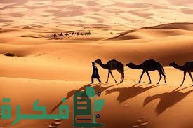 1ED5507A CAE2 4C92 9C10 672EA04D4169