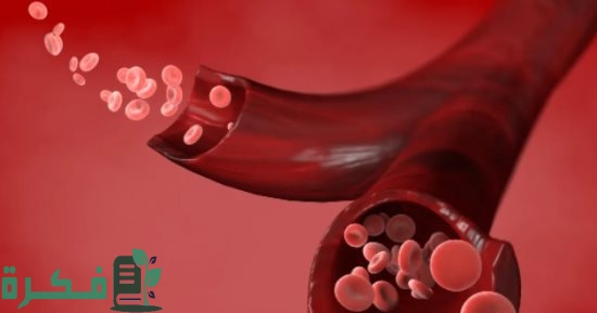 هل الحالة النفسية تسبب فقر الدم 2 20220420120338338