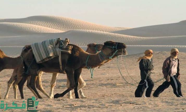 قبيلة القثامي وش يرجعون ما هو أصل قبيلة القثامي 3 5D6F48B3 C142 4270 8D41 BD3112E24954