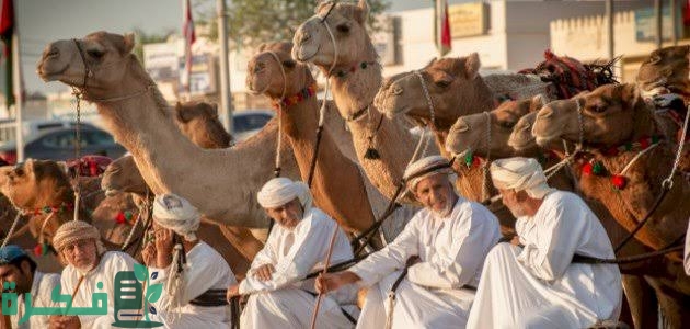 5D7726FC DC28 413E 92F4 1DB0B93BDB93