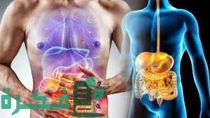 6EAFC109 626B 4CCF 80F4 8F6A2C09B67A