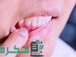 9852DBDB 70F5 4460 91FD 149D23B51CCA