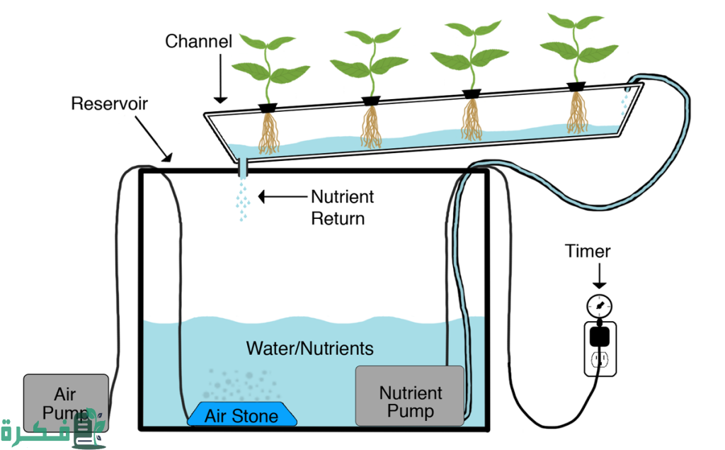 الزراعة المائية في المنزل