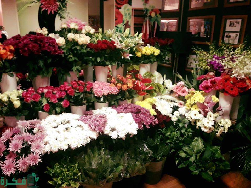 flower shops in heliopolis