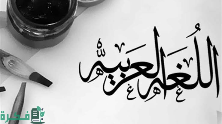 تجربتي مع تخصص اللغة العربية 2 images 2022 12 02T215446.024