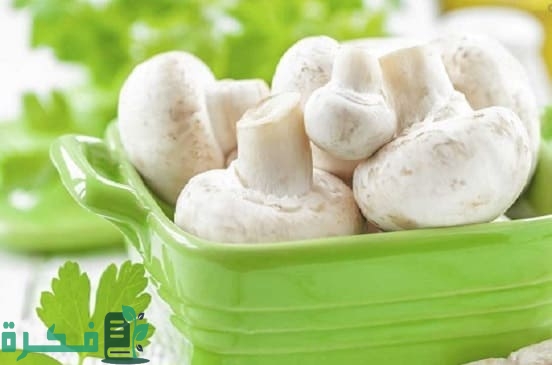 أماكن بيع تقاوي عيش الغراب في مصر