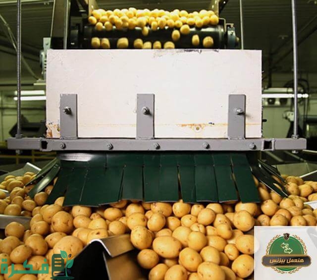 مصنع البطاطس