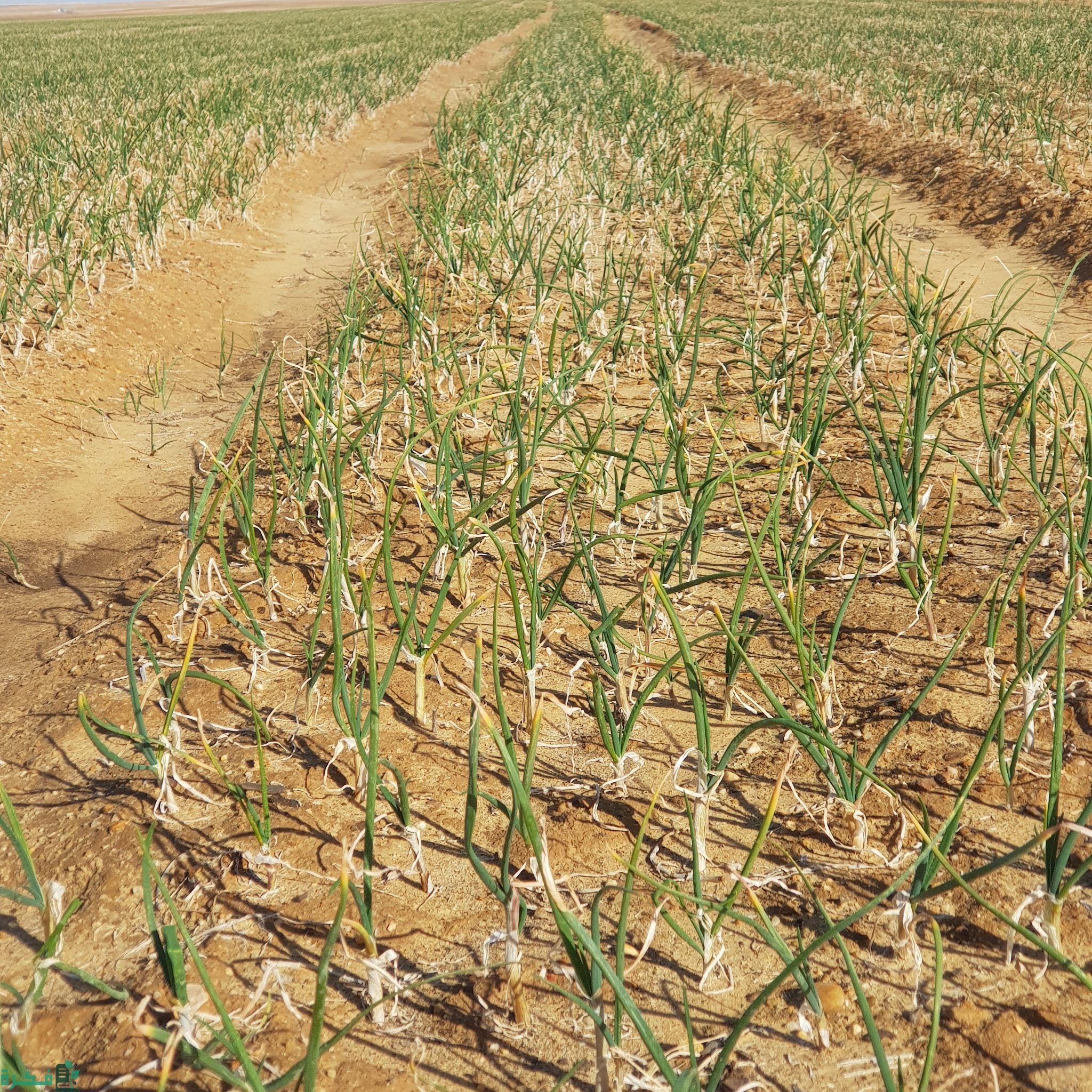 ٢٠٢٠٠١١٦ ٠٩٣٥٠٤ scaled 1