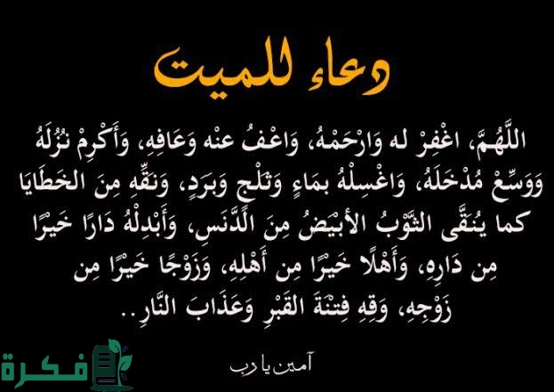 031F351D F23E 4939 8514 3CD9B2758AEE