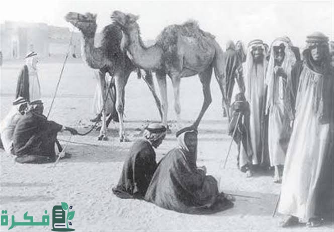 06463222 BD2A 4E12 BB44 E50AA5AE491F