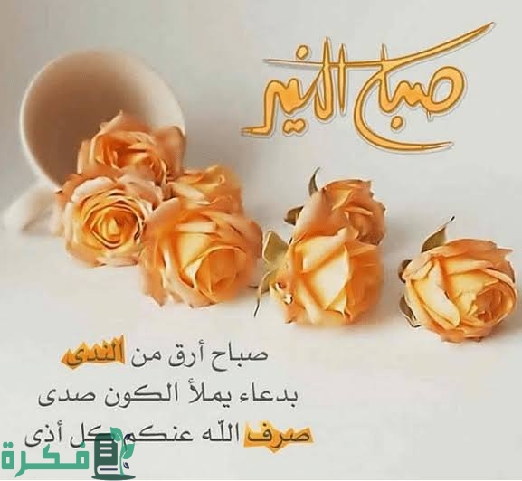 632E1014 2ABD 4681 8079 CD2C2AE42618