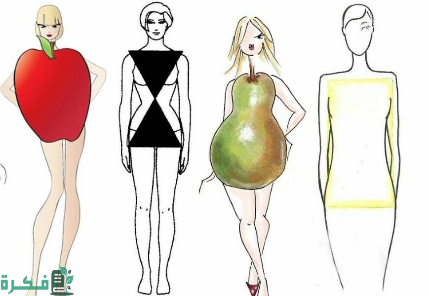 الفرق بين جسم الكمثرى والساعة الرملية