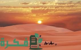 7E2EA4E6 3743 423F 8822 D476D8B40DA3