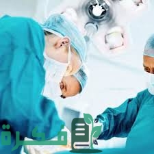 82ABBF6D A349 4C67 BD8C 3958A367C85D