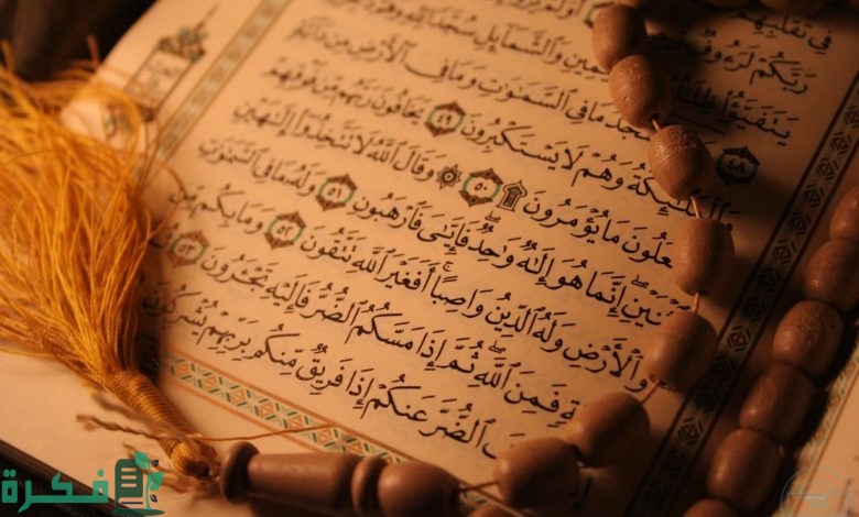 سبب نزول سورة المنافقون