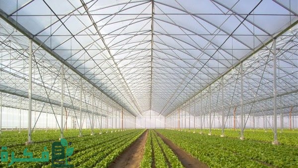 931975513664005 989150795832781 238216745549743 535353988888747 Majarah science