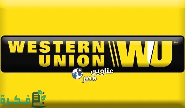 D981D8B1D988D8B9D988D98AD8B3D8AAD8B1D986D98AD988D986D98AD988D986