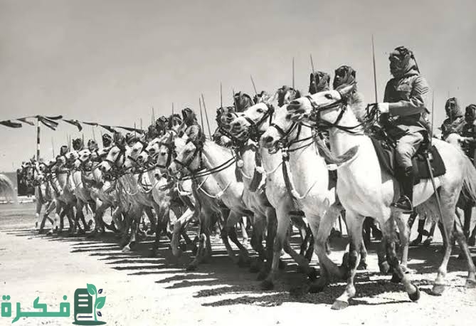 E091F303 6861 4B58 B21C 5619B9D50D9C