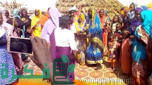 E98BD0D5 FB2E 47D6 B6B0 CA56FB7B8A1C