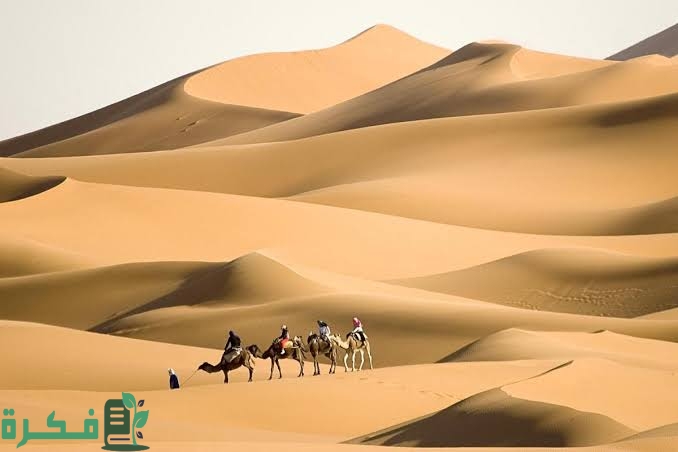 FC83D4DE 26E5 401D AB3E 7D7F5F689F93