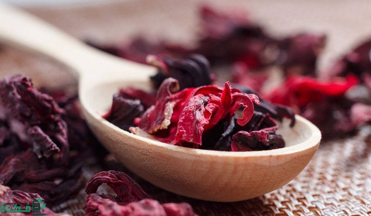 تجربتي مع الكركديه للشعر 3 تجربتي مع الكركديه للشعر