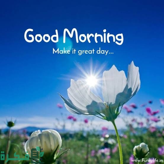 ما الرد على كلمة جود مورنينج good morning 5 images 2023 01 06T232550.468