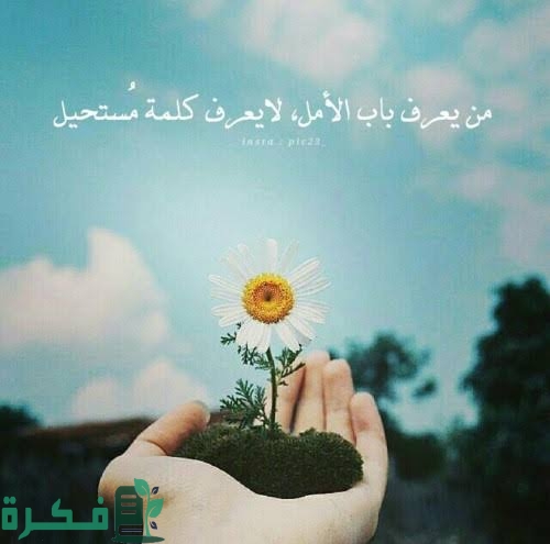 images 2023 01 23T184312.207