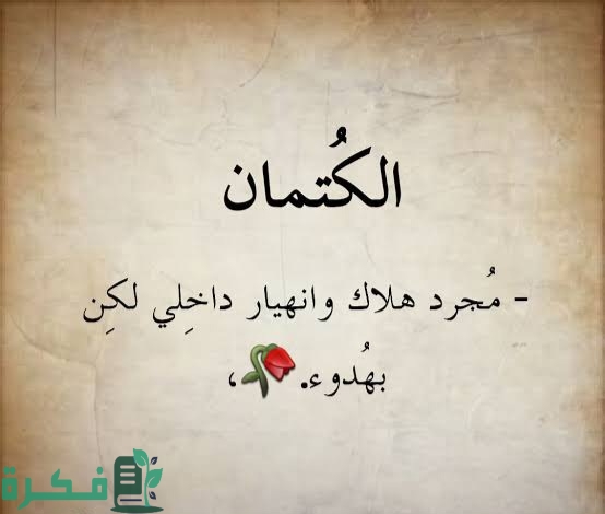 images 2023 01 23T193238.465