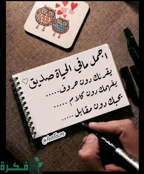 images 2023 01 29T204328.440