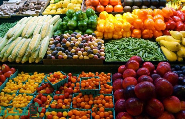 أزمة الطاقة تؤثر على قطاع زراعة المحاصيل الزراعية في المملكة المتحدة