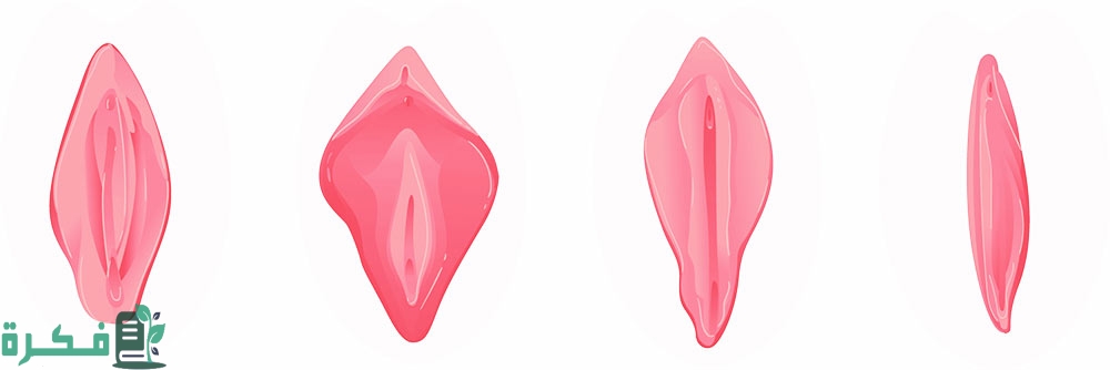 أفضل تحاميل للتضييق من الصيدلية