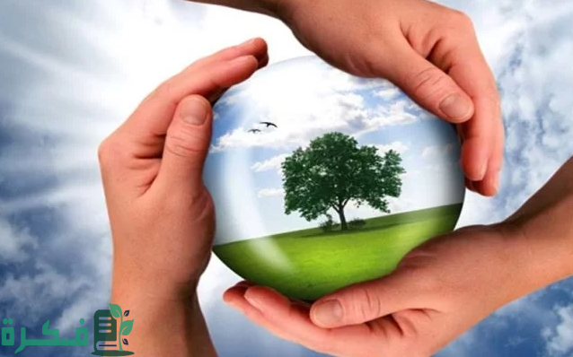 أفكار للمحافظة على بيئة وطني للأطفال