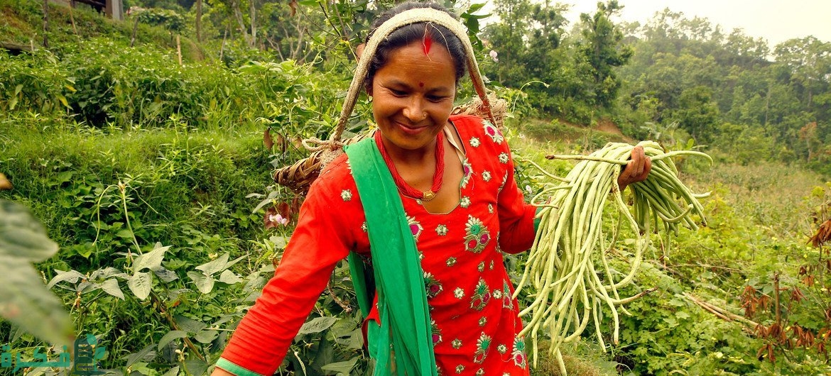 اليوم العالمي للمرأة الريفية 2 اليوم العالمي للمرأة الريفية