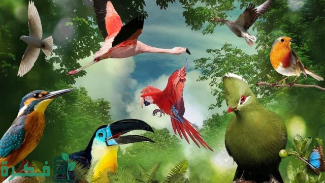 بحث عن التنوع الحيوي والمحافظة عليه 3 بحث عن التنوع الحيوي والمحافظة عليه